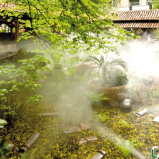 Zanzare a Perugia: non nei locali all’aperto con l’impianto antizanzare a nebulizzazione Mister Mosquito